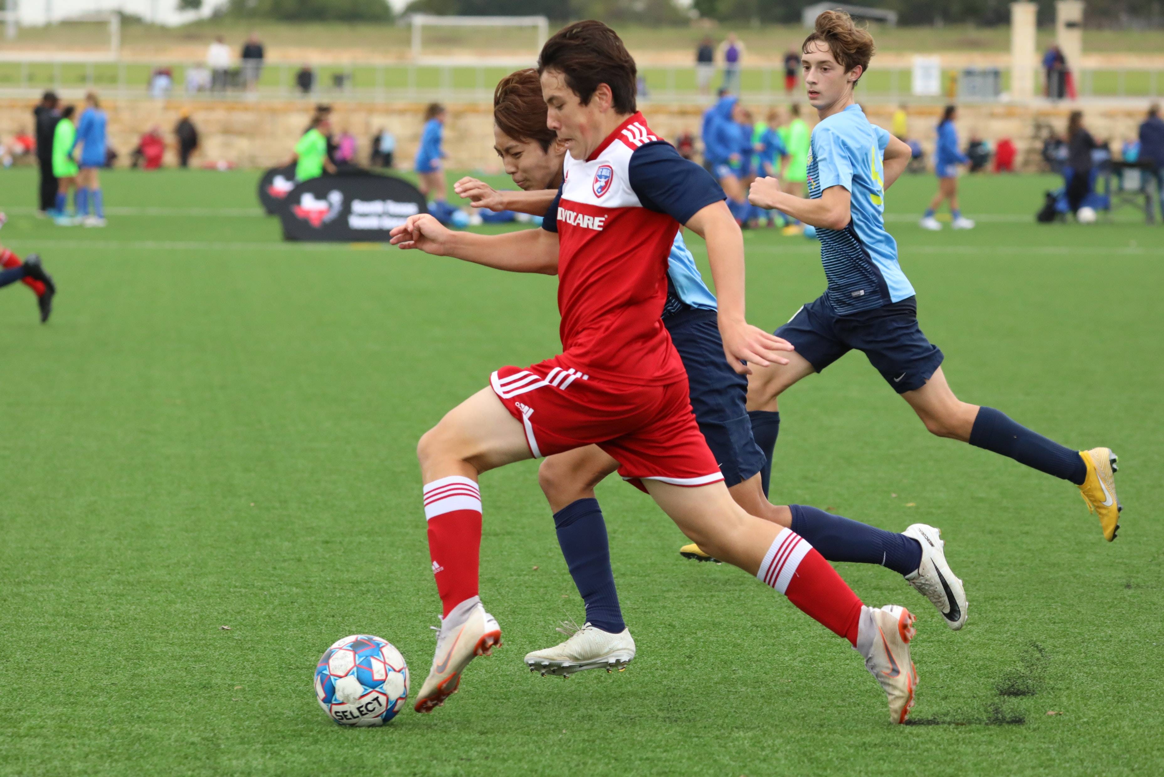 中赢得胜利 中赢得胜利